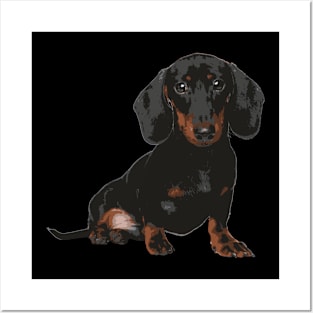 sausage dog Posters and Art